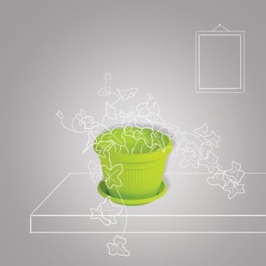 Ghivece si farfurii pentru ghivece